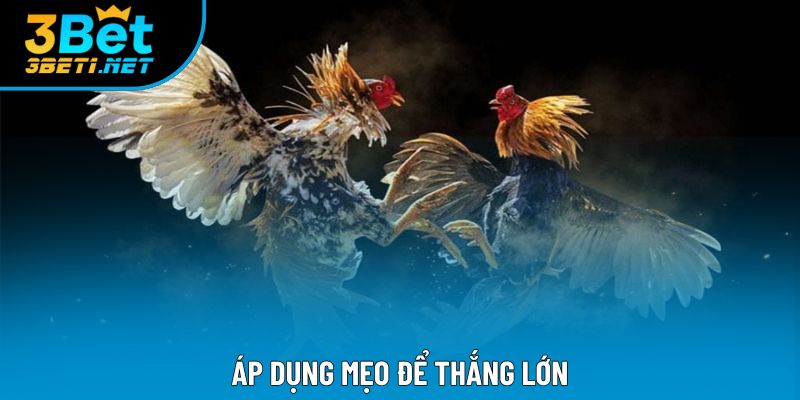 Áp dụng mẹo để thắng lớn