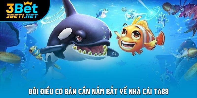 Đôi điều cơ bản cần nắm bắt về nhà cái ta88