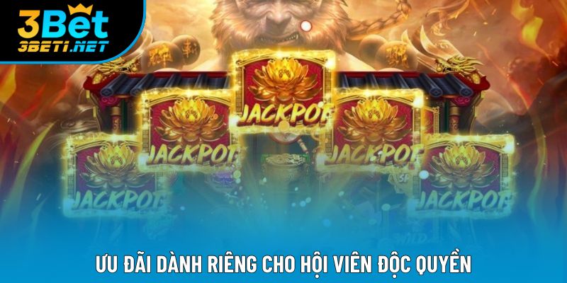Ưu đãi dành riêng cho hội viên độc quyền